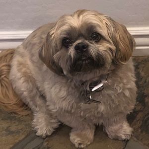 Meet your Posher, Diego